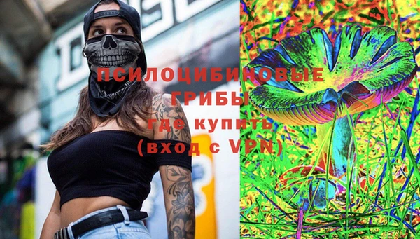 бошки Богородск