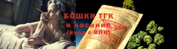 стафф Верхний Тагил