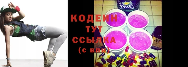 сатива Бородино