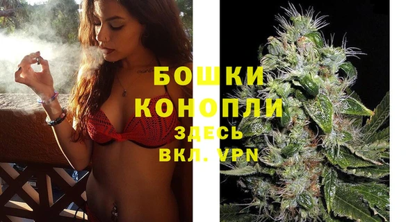 2c-b Богородицк