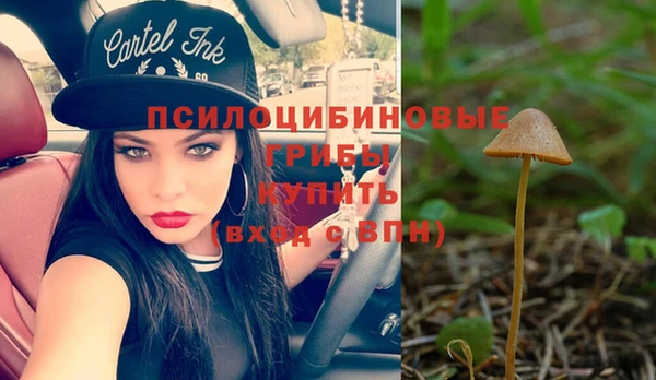 тгк Бугульма