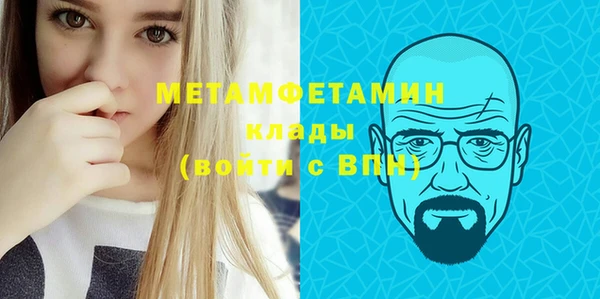 сатива Бородино