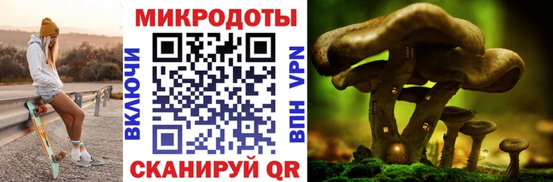 МЕГА сайт  Дрезна  Галлюциногенные грибы MAGIC MUSHROOMS 